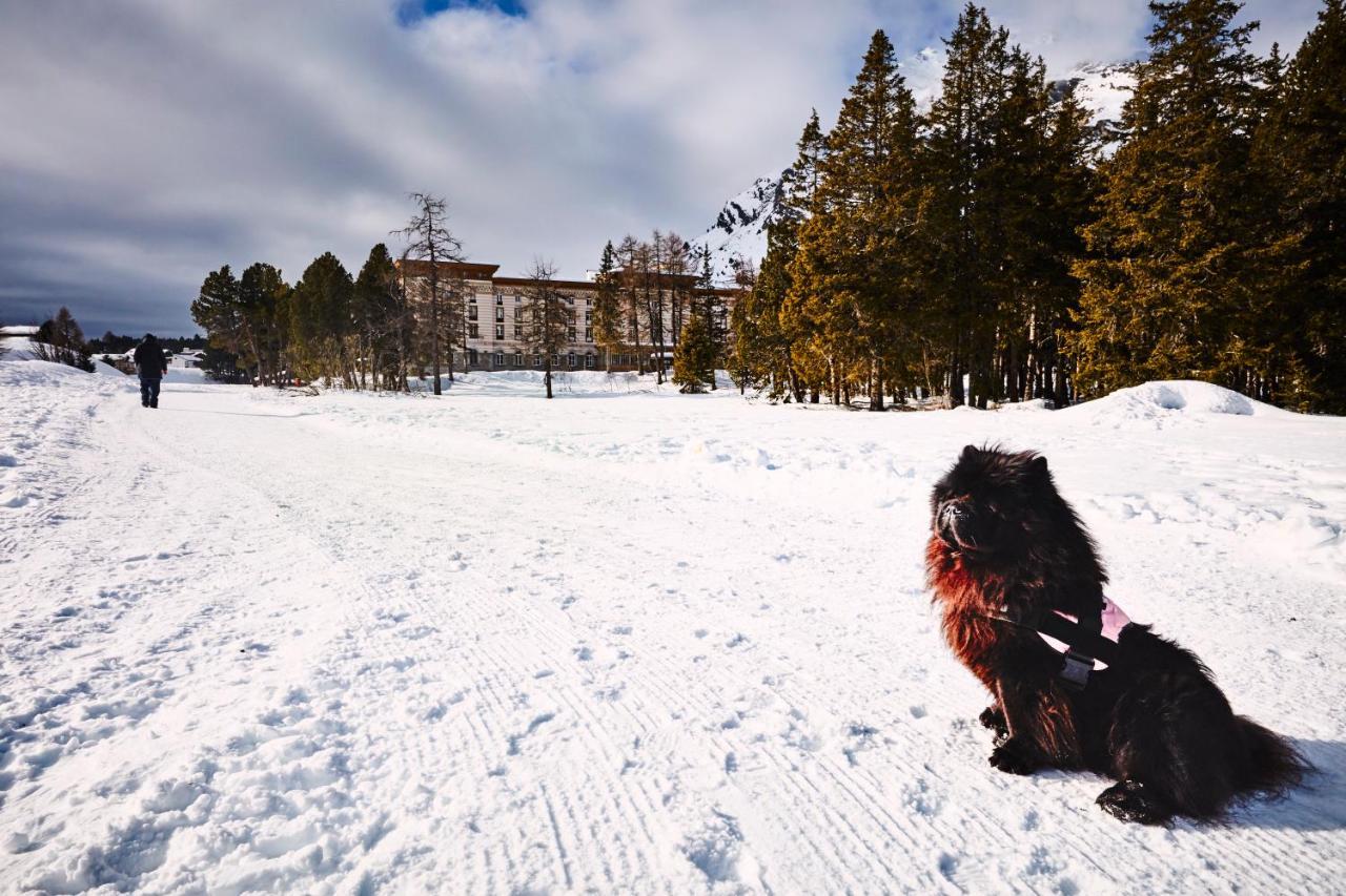 Maloja Palace Residence Engadin-St Moritz Co2-Neutral 外观 照片